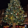 Me, under the giant Christmas tree